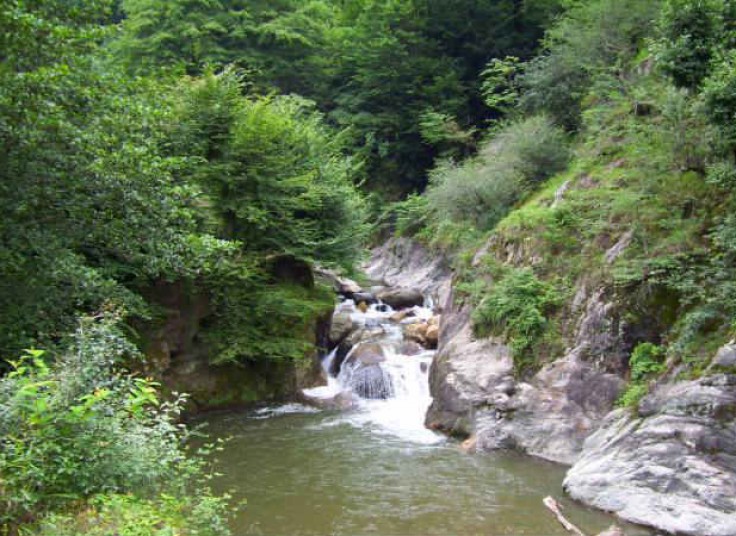 چهار تور مسافرتی یکروزه