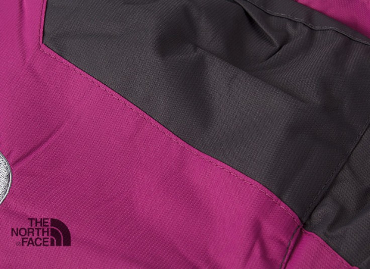 کاپشن کوهنوردی زنانه THE NORTH FACE