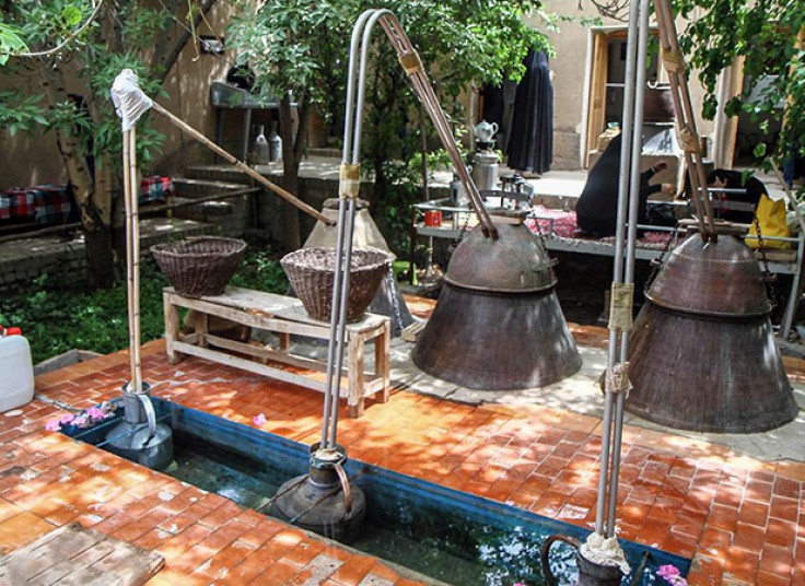 تور گلاب گیری  آژانس آرتین رایا