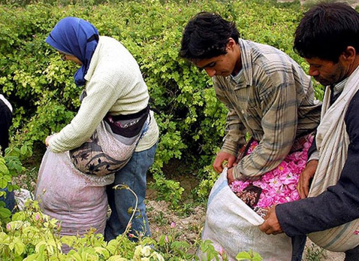 تورهای یک روزه کاشان آژانس خط سفر پارس