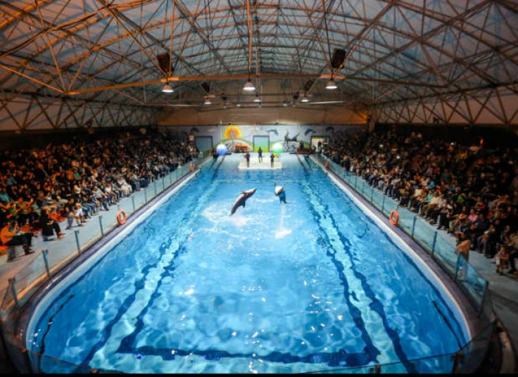 دلفیناریوم برج میلاد