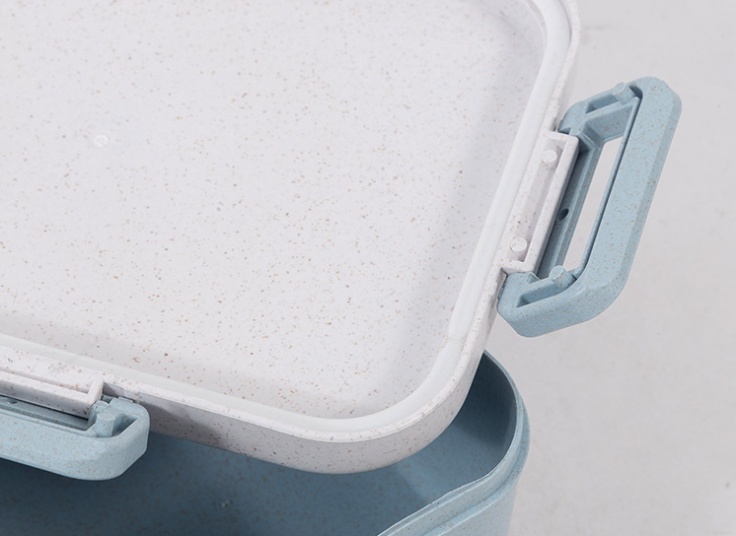 ظرف غذای طرح کارتونی