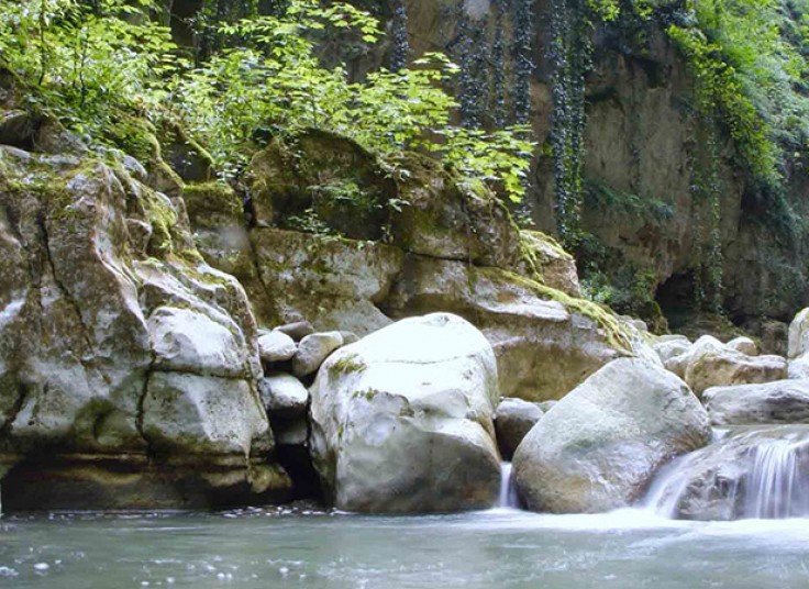 تورهای آژانس مسافرتی مهام