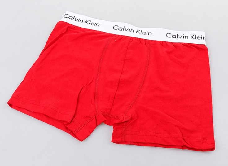لباس زیر مردانه باکسر Calvin Klein