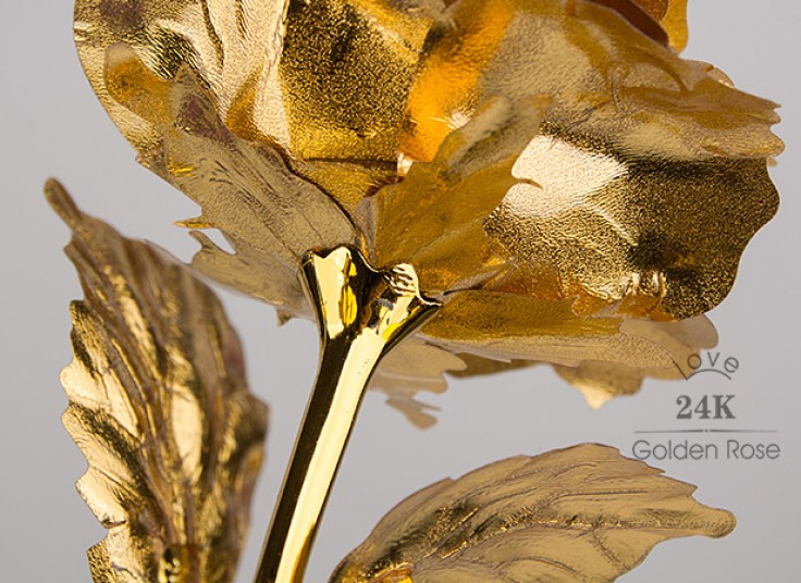 گل رز طلایی