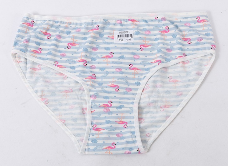 لباس زیر زنانه Misspel