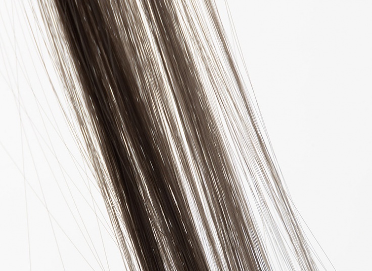 مش تکه ای کلیپسی