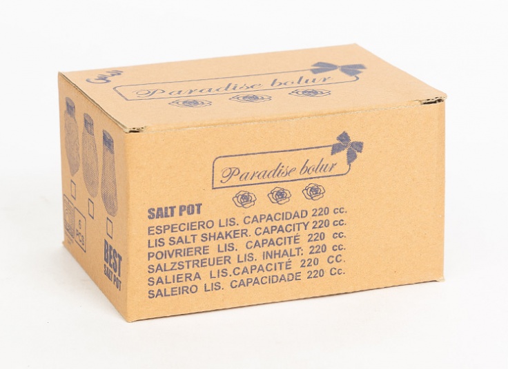 ست 6 عددی نمکدان Paradise