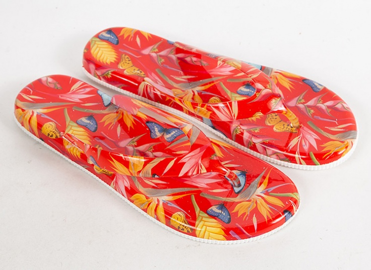 دمپایی لاانگشتی زنانه Delsa