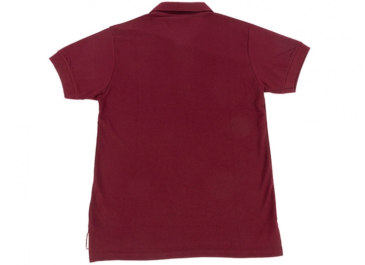 پولوشرت مردانه طرح Polo Ralph Lauren