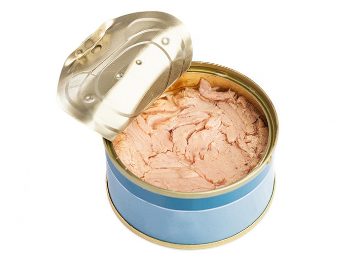 کنسرو ماهی تن گراتیس