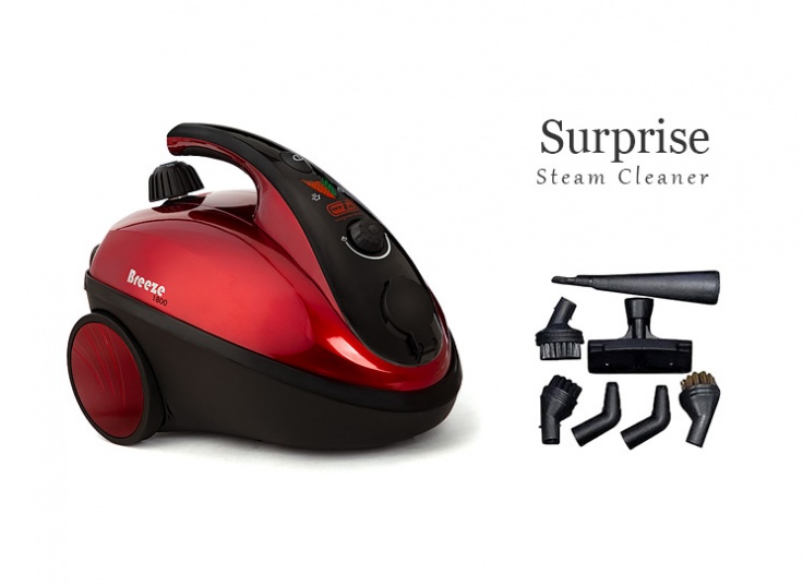 بخارشوی surprise مدل SE9300SC