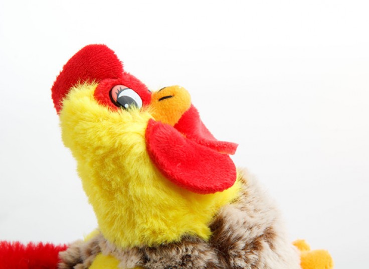 عروسک کادویی خروس