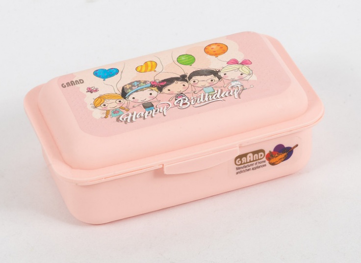 ظرف غذای دو خانه Grand