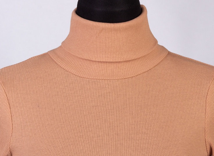 بلوز یقه اسکی زنانه ROLY