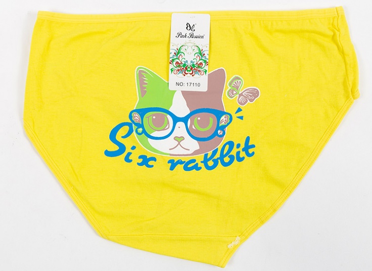 لباس زیر زنانه Pink Pasuion