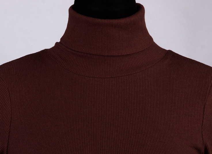 بلوز یقه اسکی زنانه ROLY