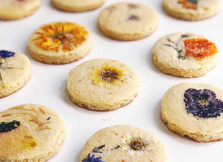 جشنواره گیاهان دارویی در گیاه دانه