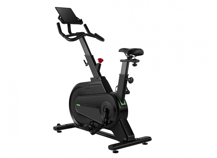 دوچرخه ثابت King Smith