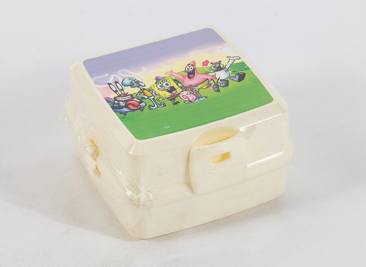 ظرف غذای طرحدار