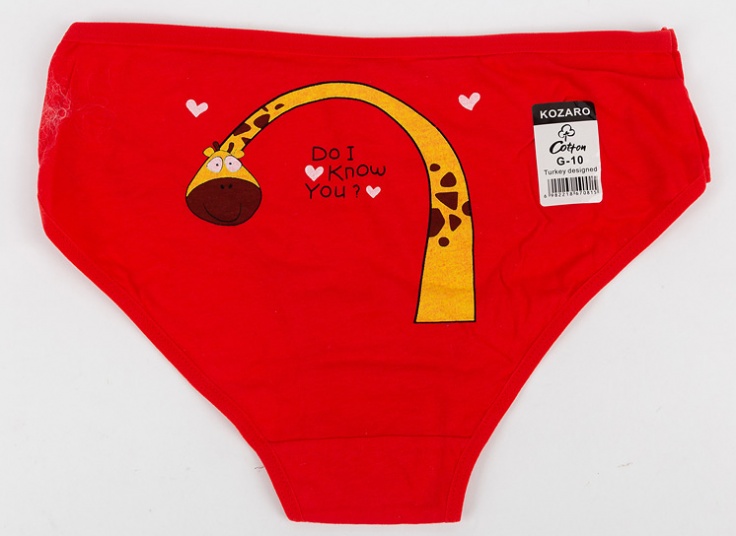 لباس زیر زنانه Kozaro