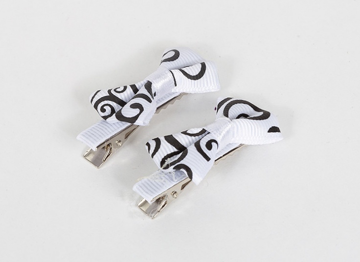 پک دو عددی گیره مو Fashion