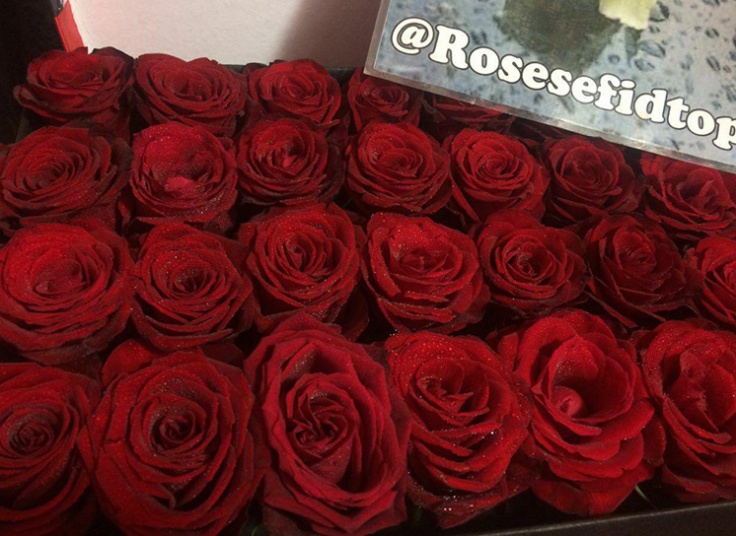 گل فروشی رز سفید