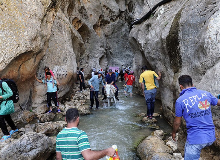 تور یک و نیم روزه آژانس بیتاگشت