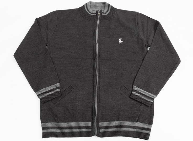 سوئیشرت بافت مردانه POLO