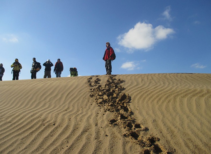 تور کویر مصر آژانس تیارا سیر