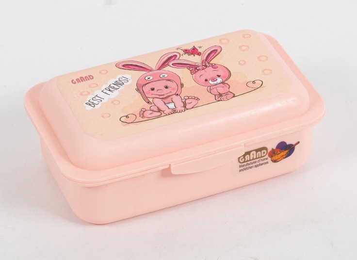 ظرف غذای دو خانه Grand