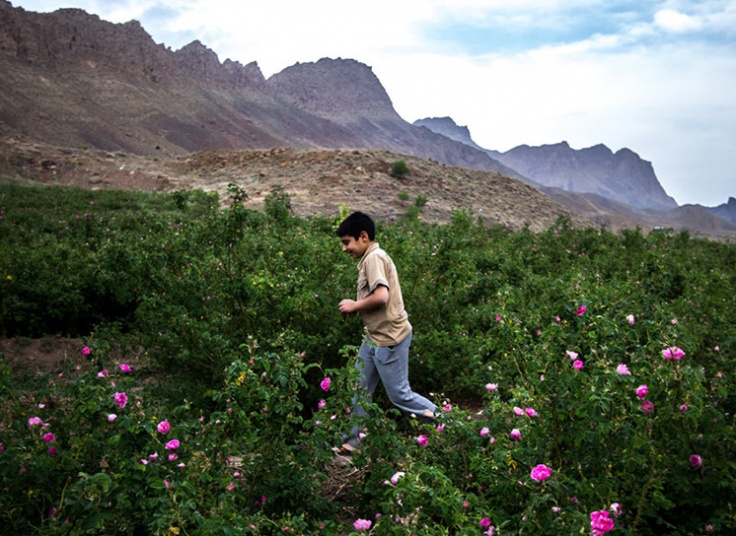 تور یک روزه کاشان آژانس شال و کلاه سفر