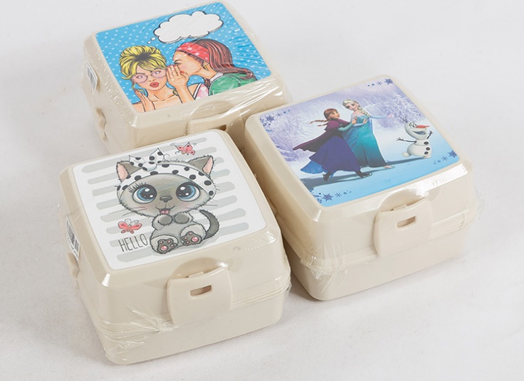 ظرف غذای طرحدار