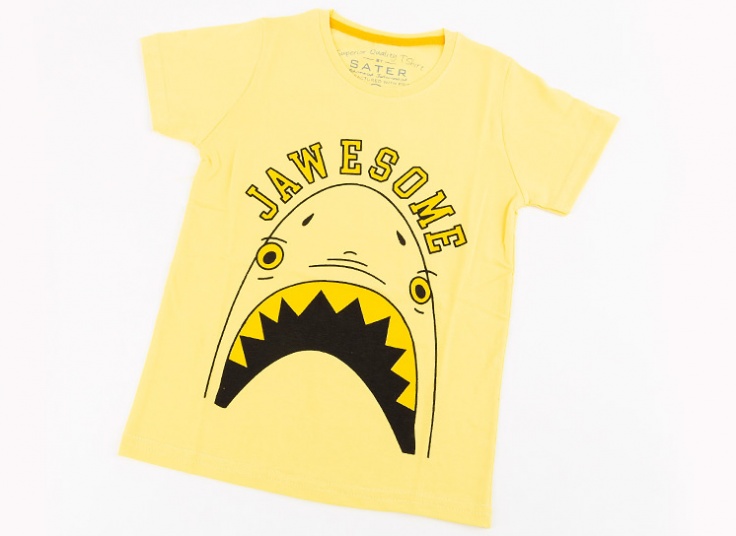 تیشرت آستین کوتاه پسرانه