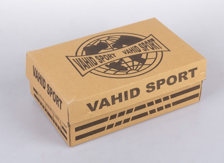 کفش اسپرت مردانه NIKE