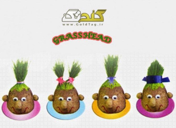 سبزه عید آدمکی GrassHead