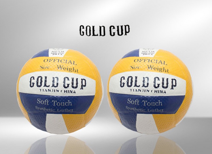 دو مدل توپ والیبال