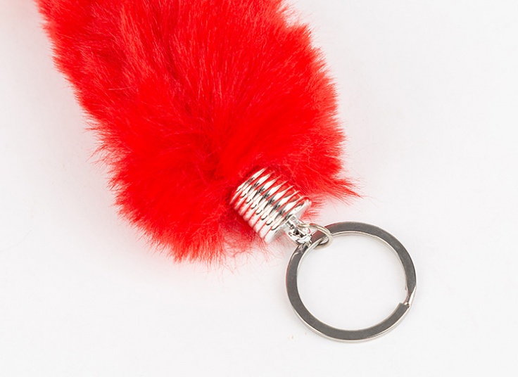 جا سوئیچی خز