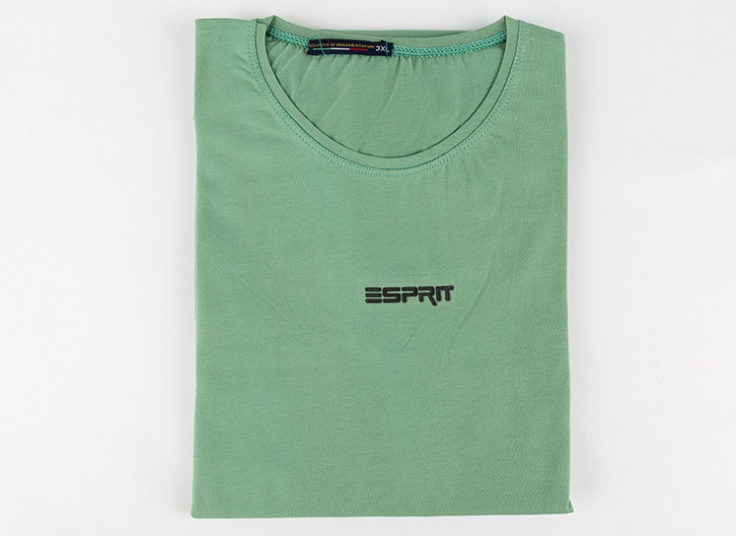 تیشرت رنگی مردانه Esprit