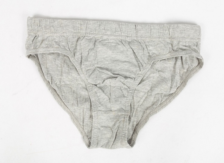 لباس زیر مردانه اسلیپ Cedar Wood State