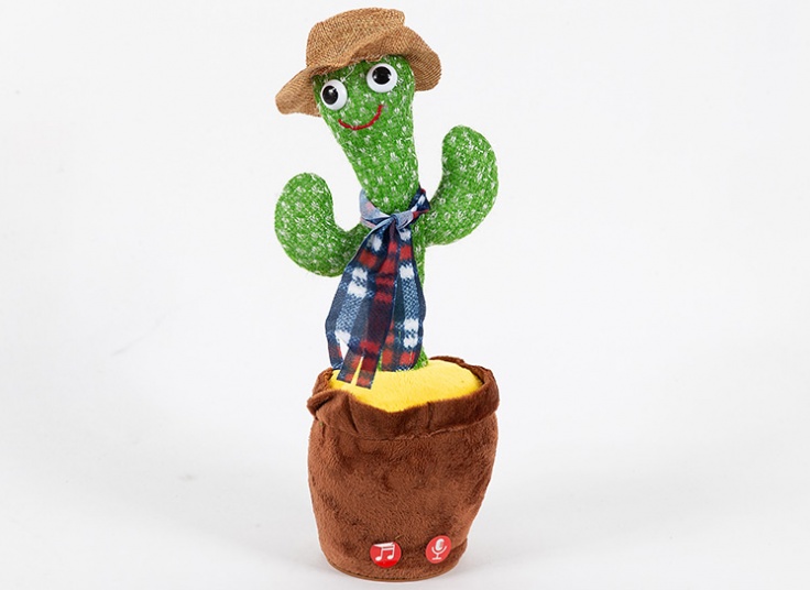 کاکتوس سخنگو لباس دار شارژی