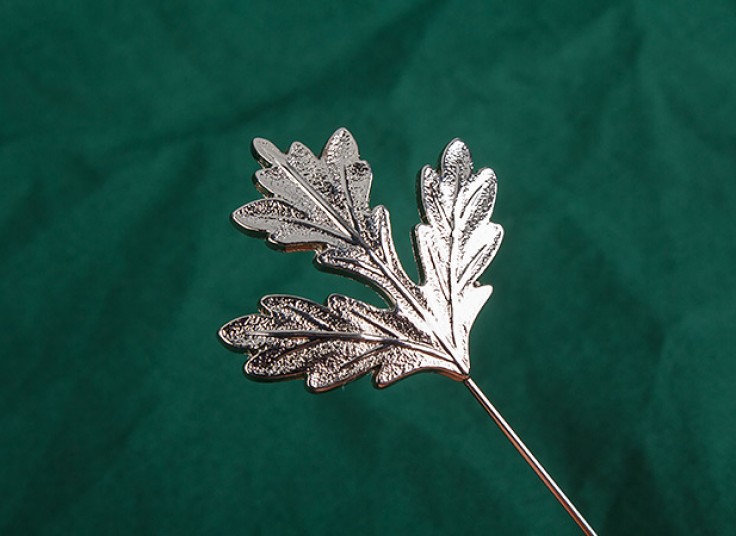 سه مدل گل سینه