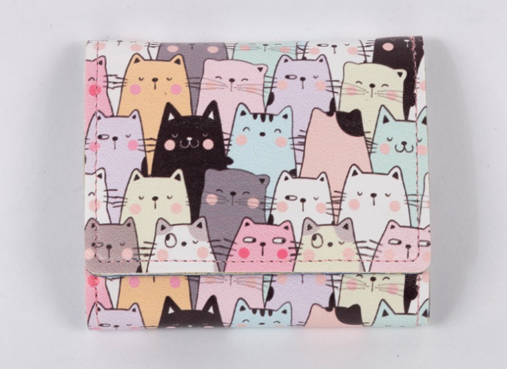 کیف پول و جاکارتی فانتزی