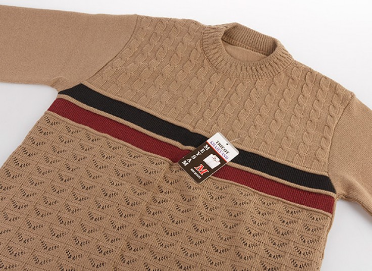 پلیور مردانه Tricot مدل Twist