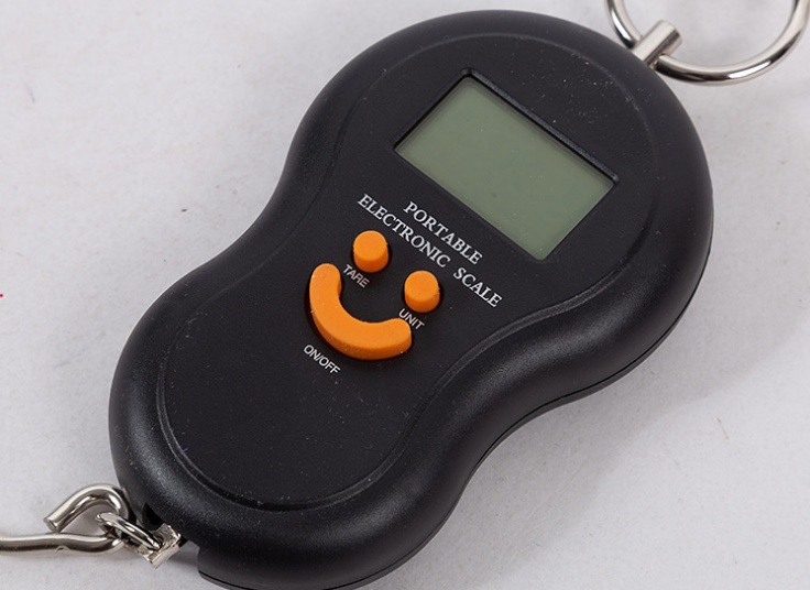 ترازوی دستی EureCare