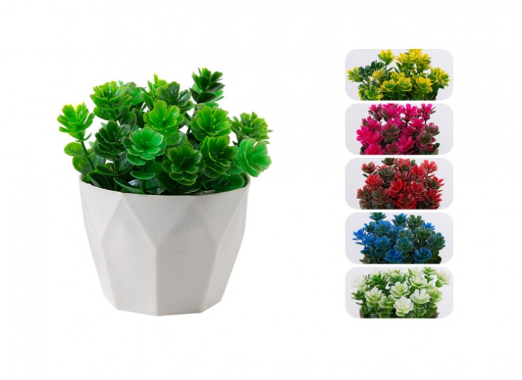 گلدان تزئینی شمشاد