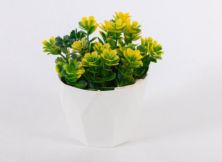 گلدان تزئینی شمشاد