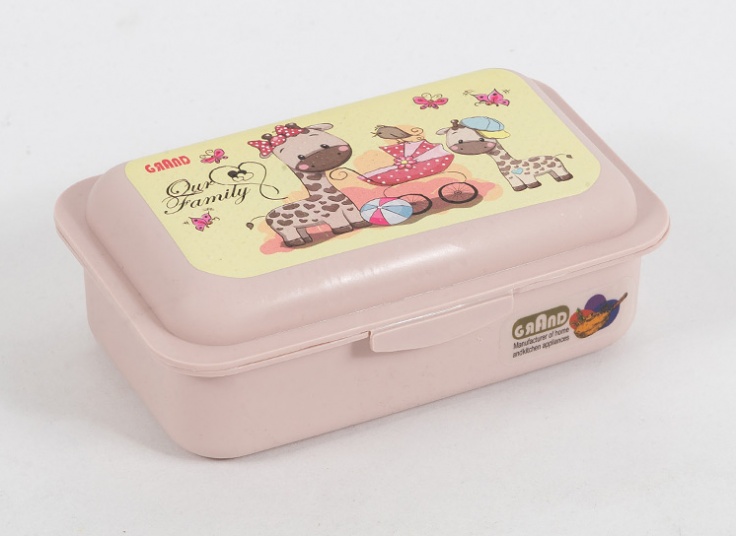 ظرف غذای دو خانه Grand