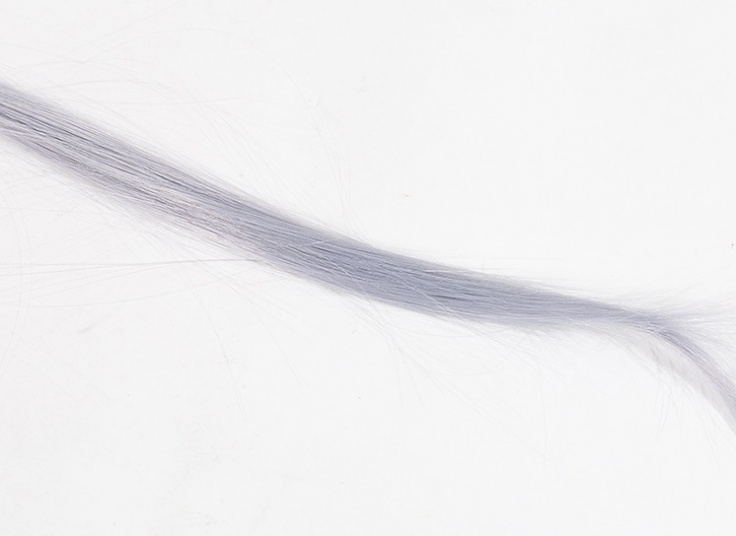 مش تکه ای کلیپسی