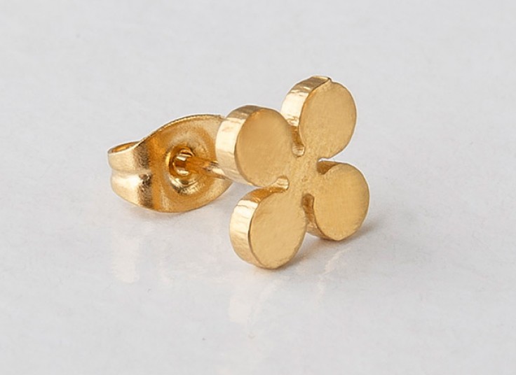 گوشواره استیل اقلیمه